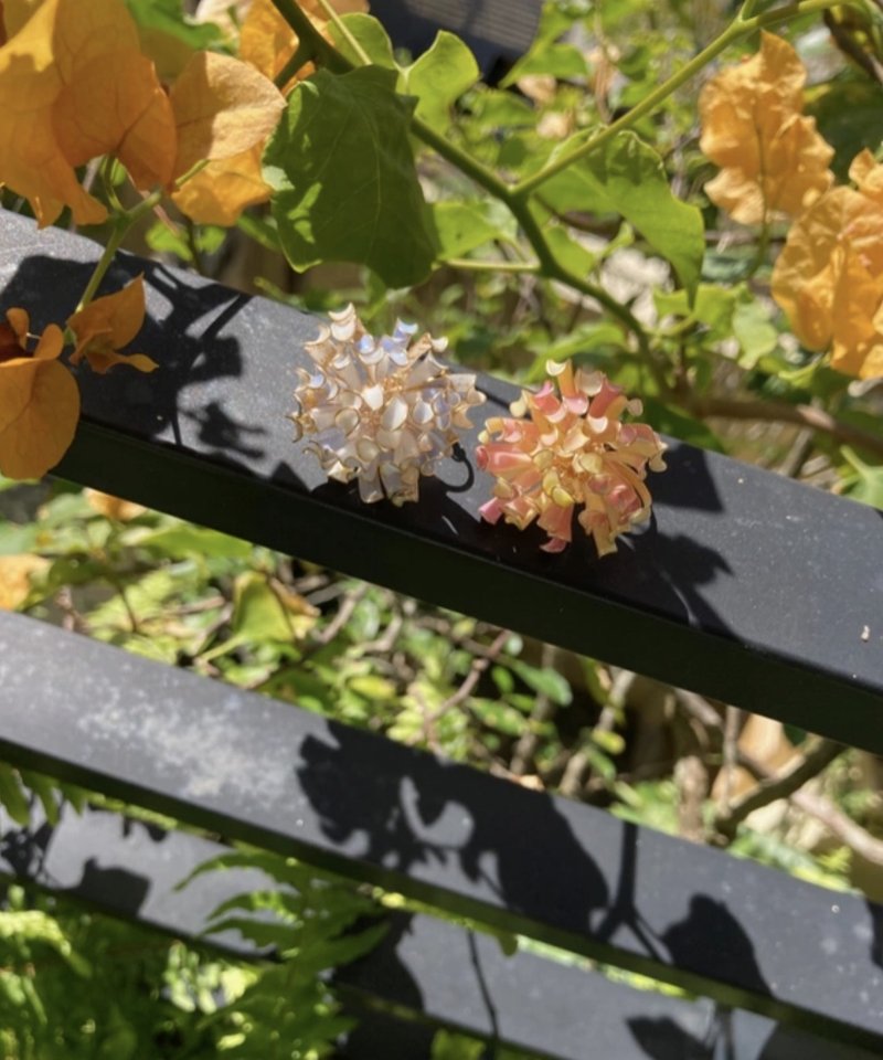 大理菊渐层贴耳耳环/耳针/树脂/一对/ - 耳环/耳夹 - 树脂 粉红色