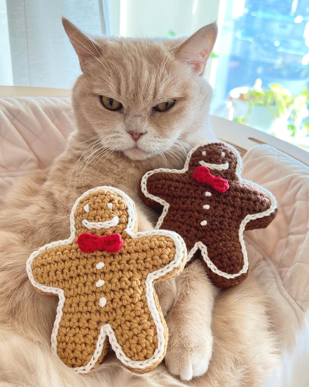 韩国品牌 Cookie Man 猫薄荷 木天蓼 编织玩具 - 玩具 - 羊毛 