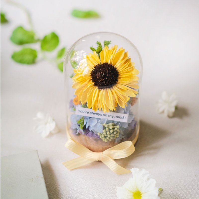 毕业礼物/索拉太阳花/永生花玫瑰花玻璃盅/共7款/干燥花/生日礼物 - 干燥花/捧花 - 植物．花 