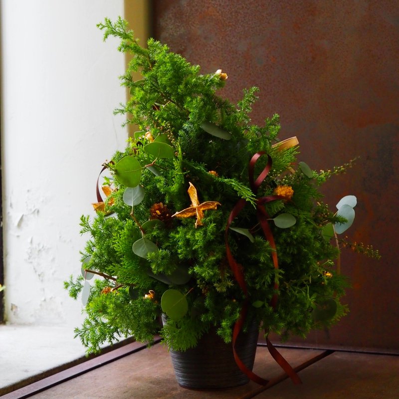 2024 森林祝福圣诞树 / 圣诞树 / 圣诞礼物 /手作 /交换礼物 - 干燥花/捧花 - 植物．花 绿色
