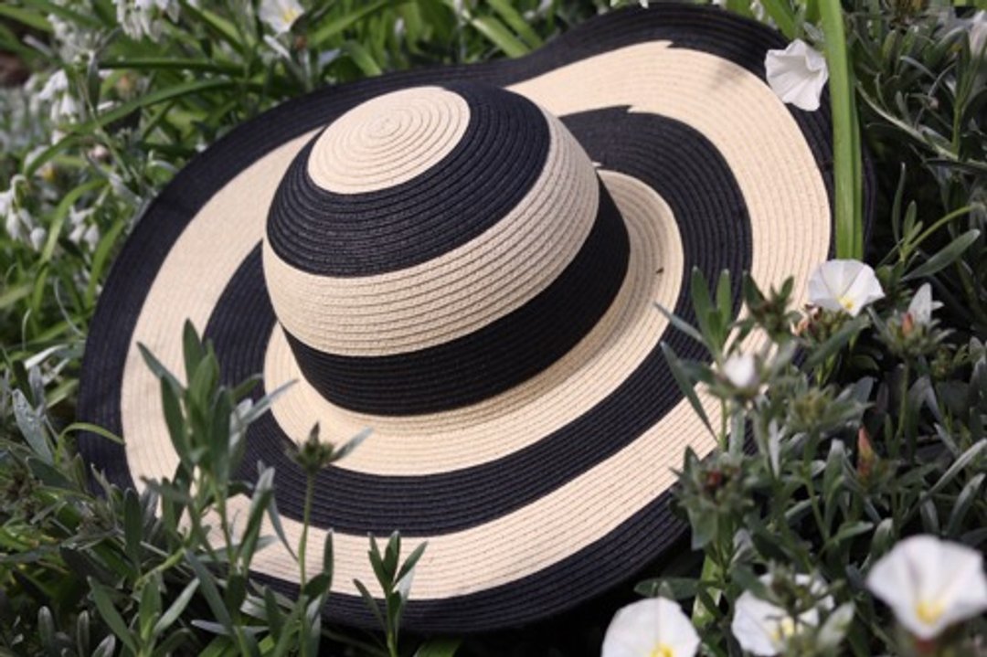 Wide brim striped hat "Liz" Liz - 帽子 - 棉．麻 