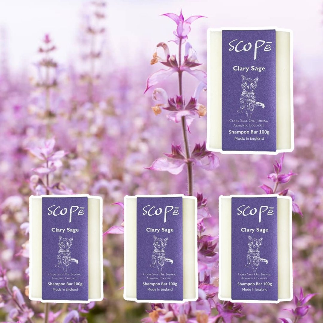 快乐鼠尾草洗发皂裸装4入-英国原装【诗可贝SCOPē】 - 洗发用品 - 浓缩/萃取物 