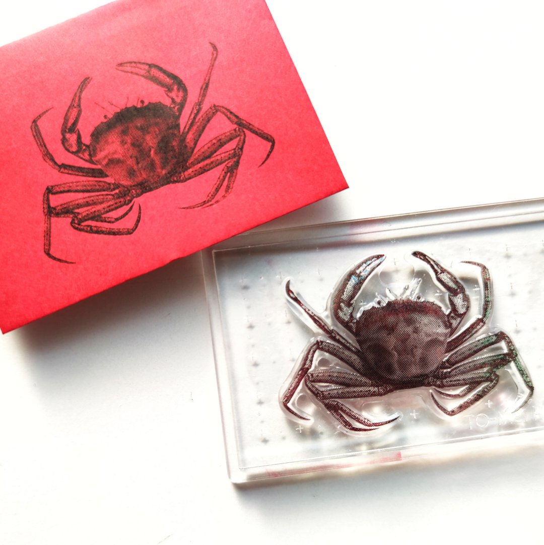Biology Stamp  大眼鲷 - 印章/印台 - 树脂 透明