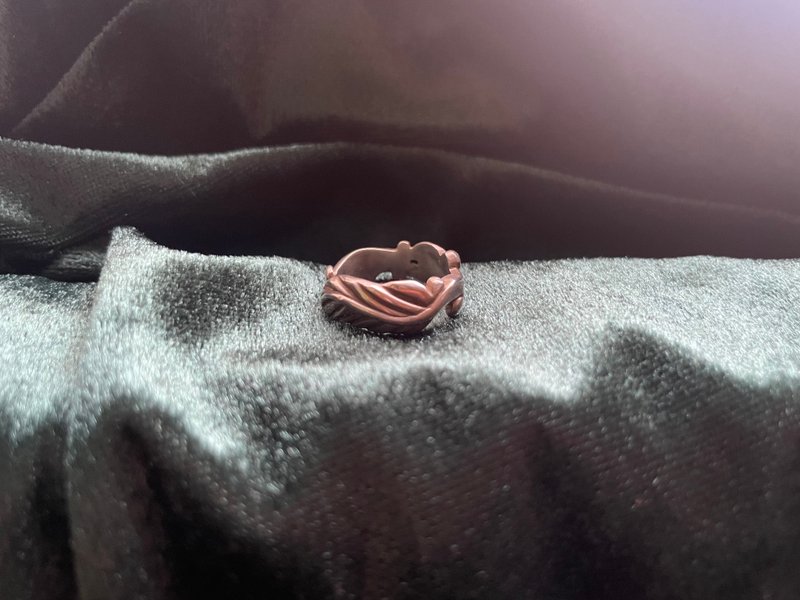生命中不可承受之轻 羽毛戒指 - 戒指 - 银 银色