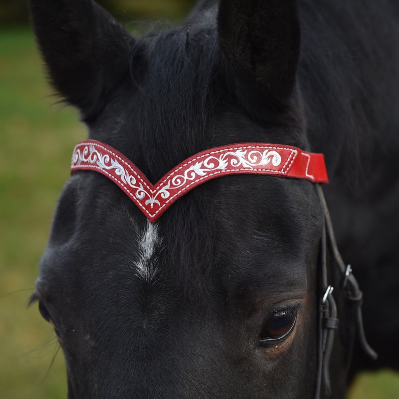 Red leather browband for horses draft pony. Handmade Brow band with hand-paint - 其他 - 真皮 红色