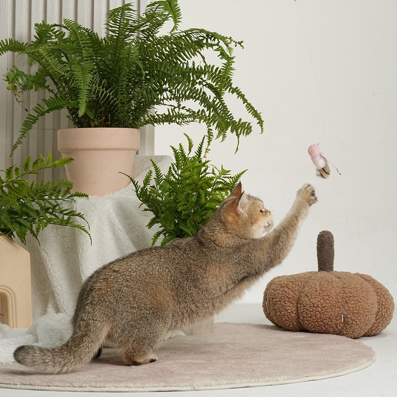 撩猫神器/可伸缩/可替换 | 手工逗猫棒-小飞蛾  Pawsholic爪迷 - 玩具 - 其他材质 