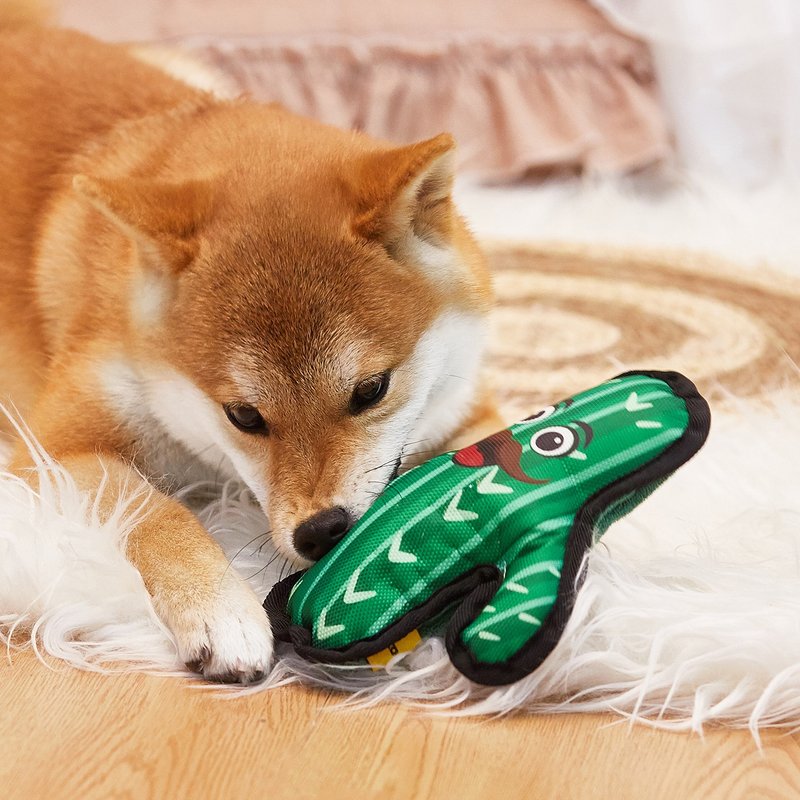 【狗玩具】Petsville派思维 欢乐包边仙人掌(4款) - 玩具 - 玩具 - 聚酯纤维 多色