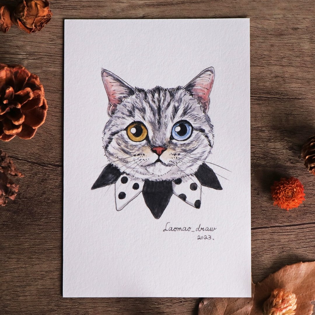 水彩插画原画稿 猫咪头像 4X6 6寸 3004 银虎斑与小丑领 - 海报/装饰画/版画 - 纸 