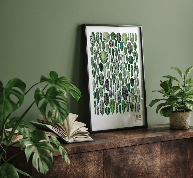 迷彩粗肋草100种姿态 -图鉴海报- - 海报/装饰画/版画 - 纸 白色