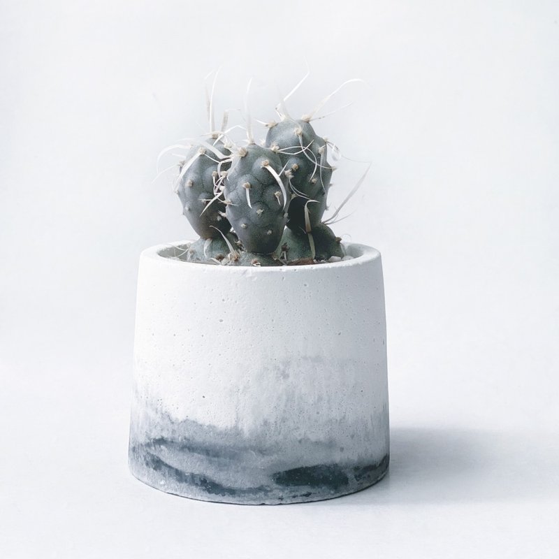 (现货) 墨黑系列 | 长刺武藏野 仙人掌 圆形水泥仙人掌植栽 - 植栽/盆栽 - 植物．花 黑色