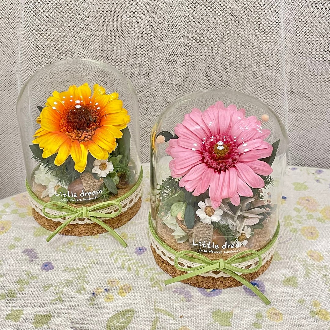 | 小梦境花艺 | 永生太阳花非洲菊 玻璃器皿 玻璃罩许愿瓶 - 干燥花/捧花 - 植物．花 白色
