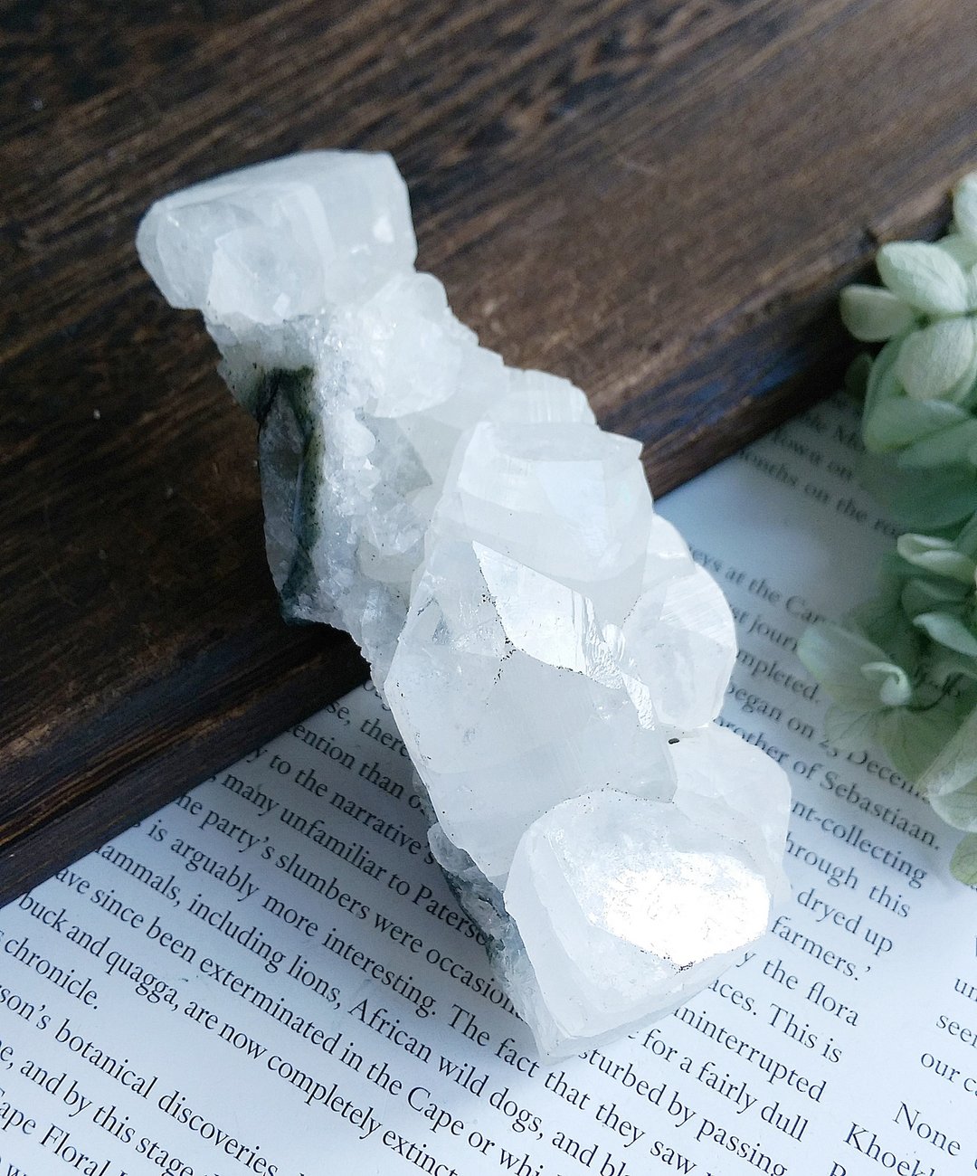 Apophyllite 印度产地 鱼眼石 天然矿石 原矿 - 摆饰 - 其他材质 