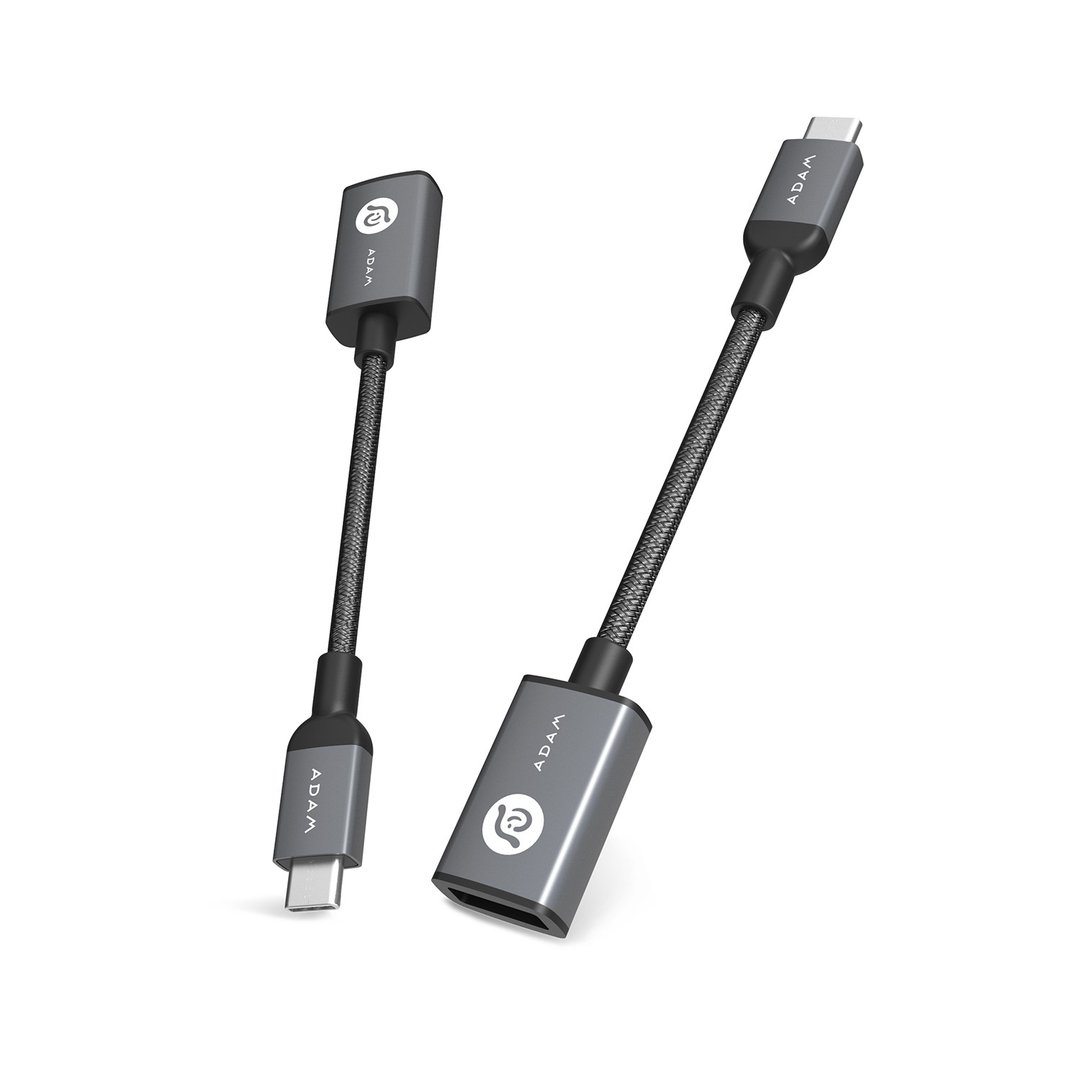 ADAM 亚果元素 F13 USB-C to USB3.1 转接线 - 充电宝/传输线 - 其他金属 灰色