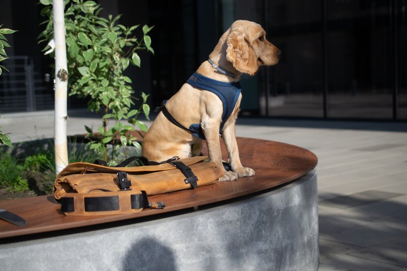 手工皮革刀卷包 - 菜刀/刀架 - 真皮 咖啡色