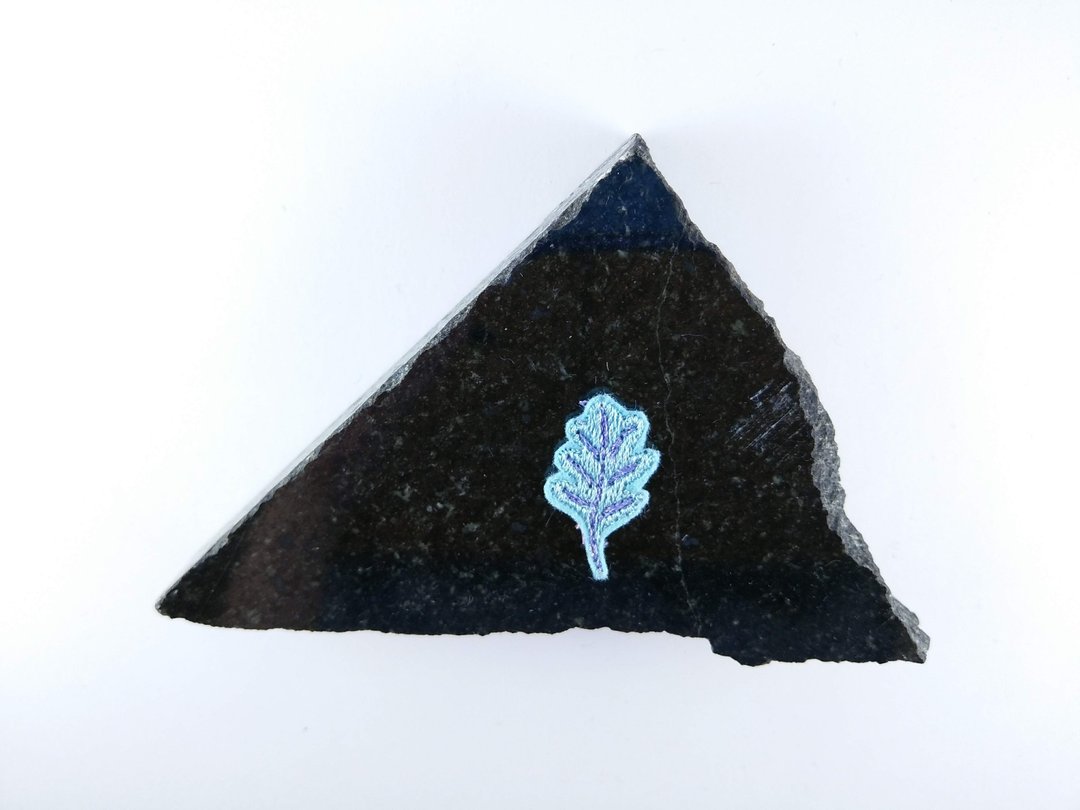 植物-叶子 刺绣贴片 烫片贴布 补丁 烫布片 衣服 夹克 - 其他 - 其他材质 透明