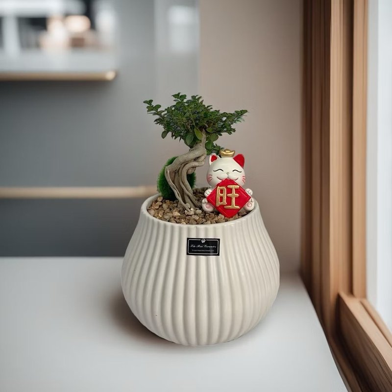 包邮限量【寿娘子】盆景小品雅致风水摆设 开幕新居乔迁升官送礼 - 植栽/盆栽 - 陶 