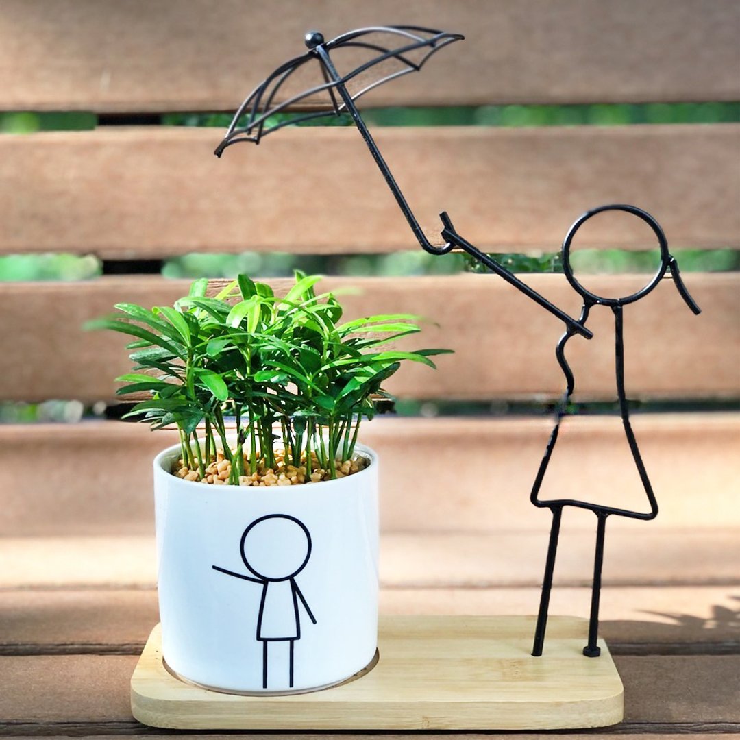 温馨造型金属小品瓷器 | 居家办公 WFH | 母亲节 父亲节 送礼最佳 - 植栽/盆栽 - 植物．花 白色