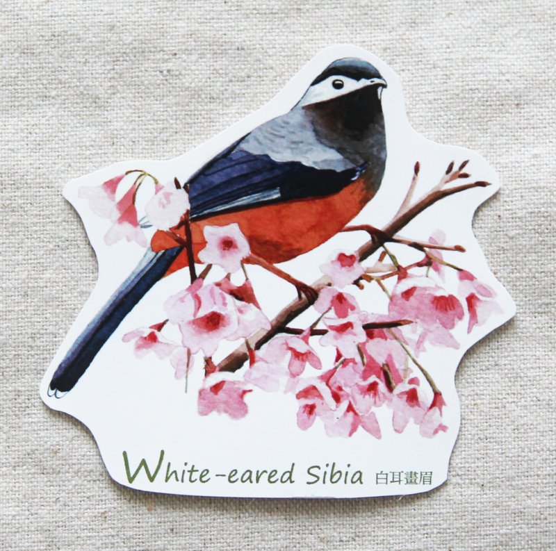 湘-NSJ 手绘白耳画眉贴纸 - 贴纸 - 纸 多色