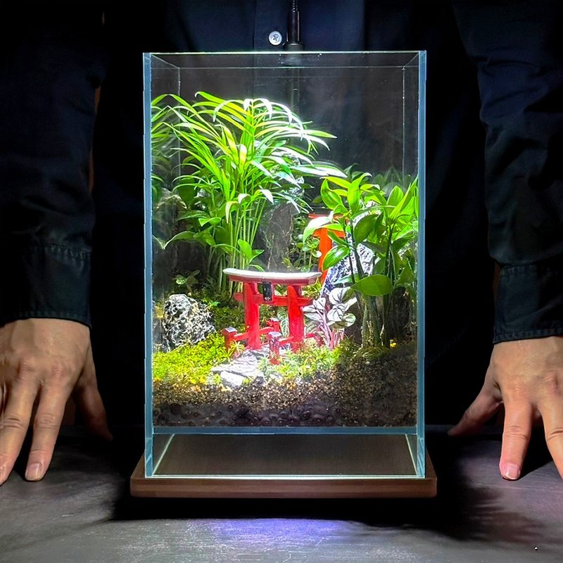 灵隐之径 / 主题性定制化造景生态缸 - 植栽/盆栽 - 植物．花 
