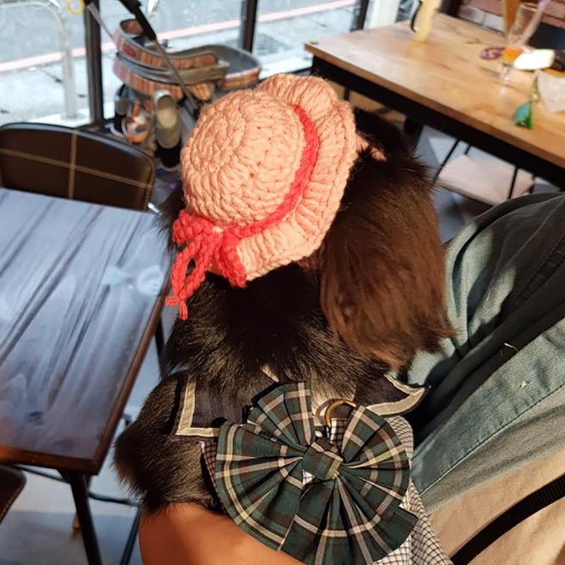 毛线编织帽/宠物毛线帽/女孩阳帽/犬猫头套/宠物狗狗猫咪毛线帽 - 衣/帽 - 棉．麻 多色