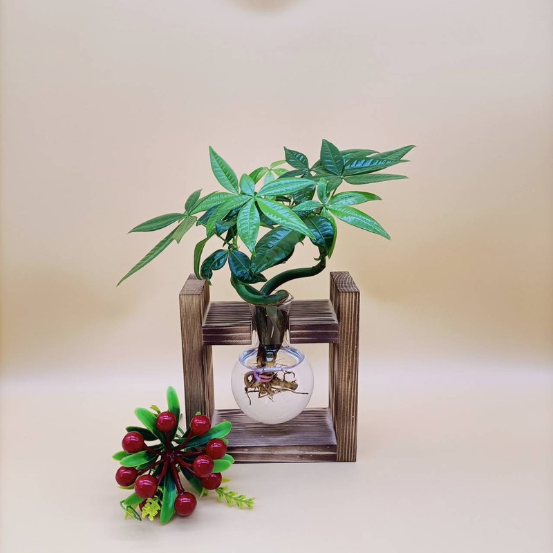 水培植物 马拉巴栗 招财树 懒人植栽 创意木架 室内植物 - 植栽/盆栽 - 木头 咖啡色