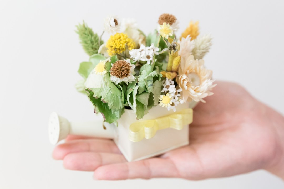 Kinki手作 春天的诗篇 限量 干燥花 小盆栽 小盆花 迷你浇花器 - 植栽/盆栽 - 植物．花 绿色