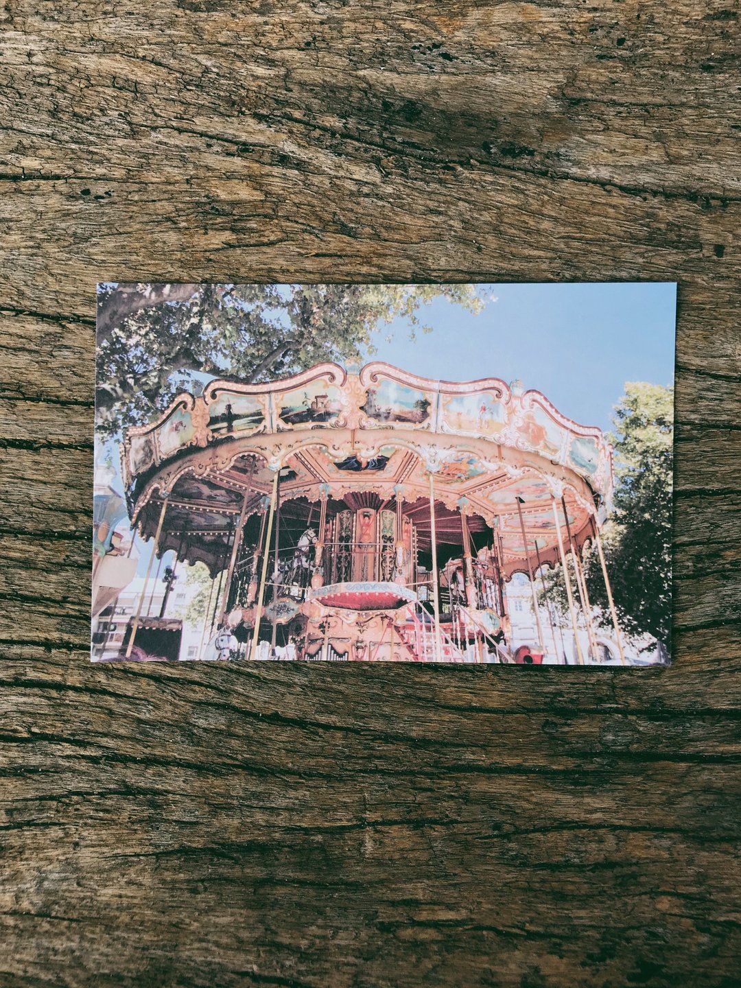世界的风景。亚维侬的旋转木马 摄影明信片 青青的岛 - 卡片/明信片 - 纸 