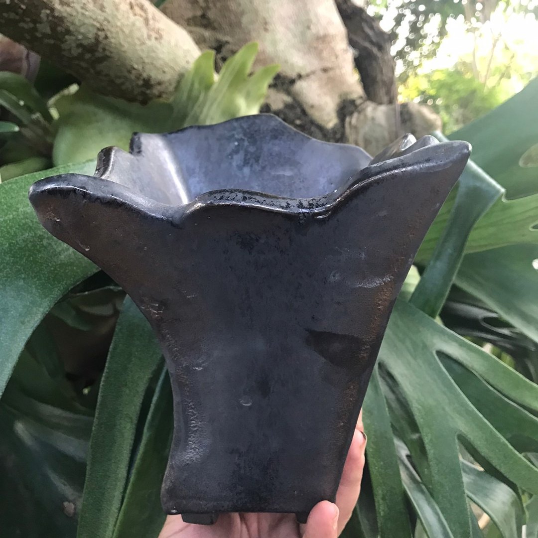黑金奢华X着墨着墨手工盆//舞动金边 - 植栽/盆栽 - 陶 黑色