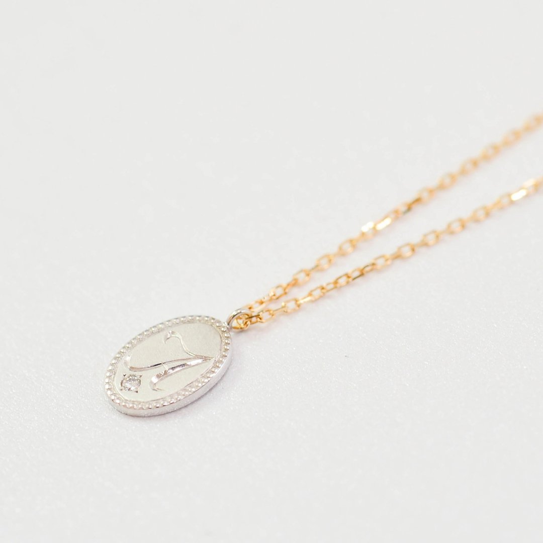 Pt950 × 链身 K18YG × 钻石 0.007ct Me - 项链 - 其他金属 金色