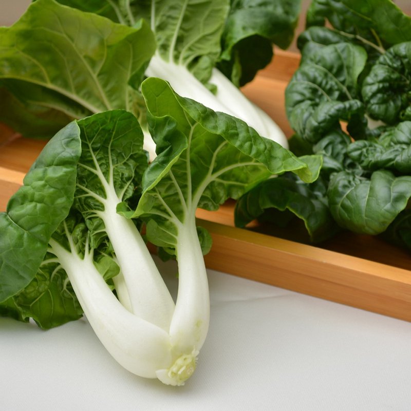 【牛奶白菜】4包组 / 不建议生食 / 宅配 / 水耕 / (250g/包) - 其他 - 新鲜食材 绿色