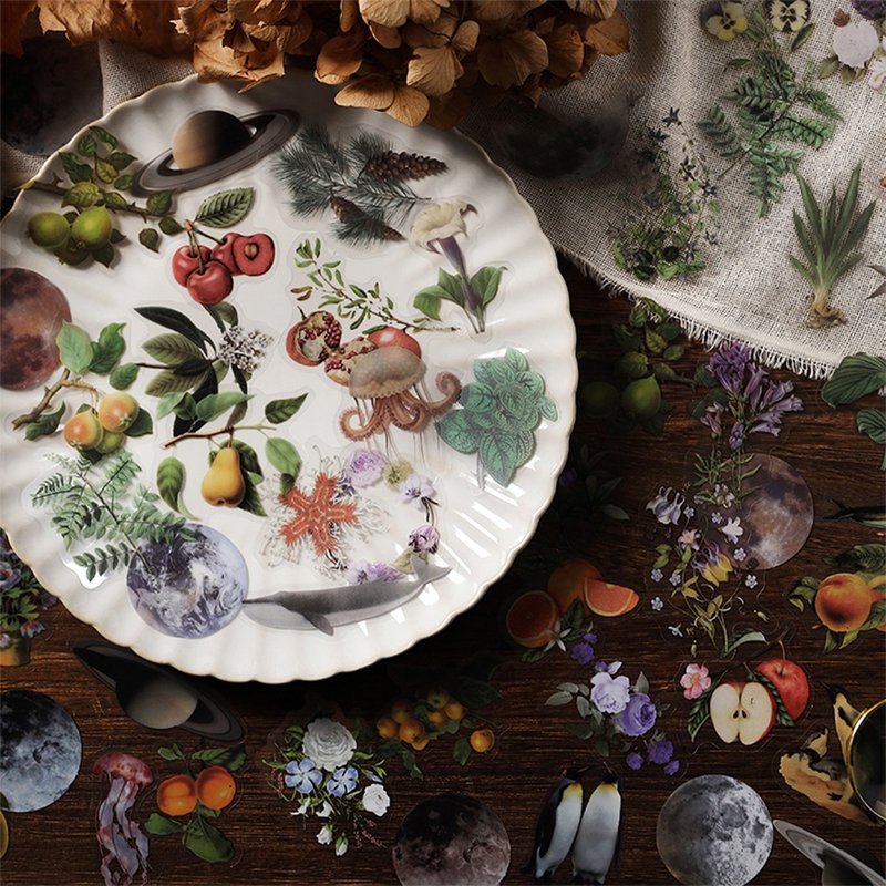 InfeelMe暖空山海图鉴系列植物动物diy手帐装饰PET贴纸包40张入 - 贴纸 - 纸 