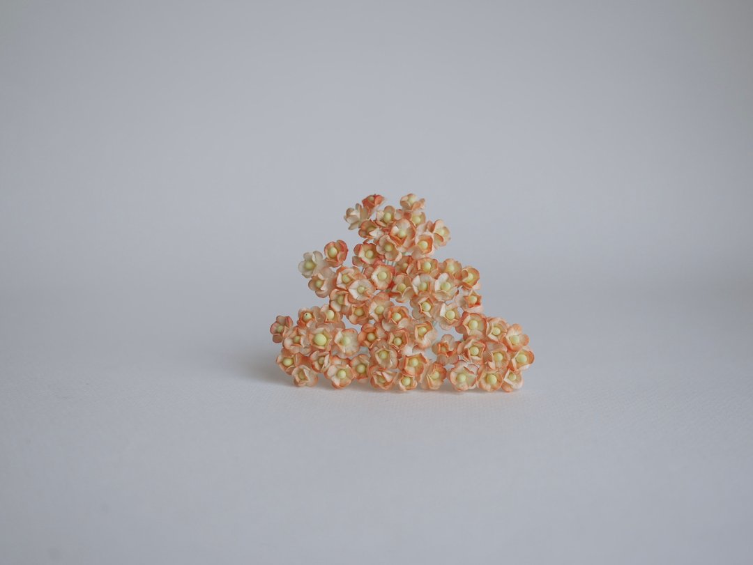 纸花，耗材100件。加拿大银莲花，尺寸0.8厘米。橙色画笔颜色 - 其他 - 纸 橘色