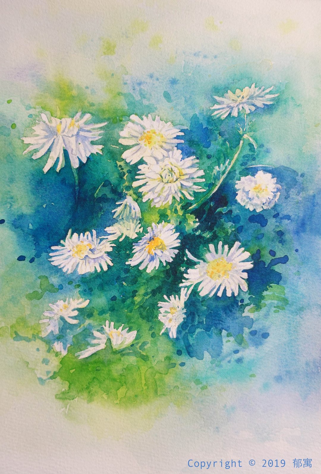 郁寓 水彩画 舒郁洋甘菊 水彩 水彩作品 新居装饰 装饰画 - 海报/装饰画/版画 - 纸 白色