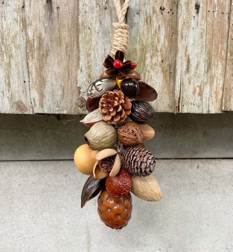 植物挂饰-萝菲亚椰子/干燥果实 - 植栽/盆栽 - 植物．花 