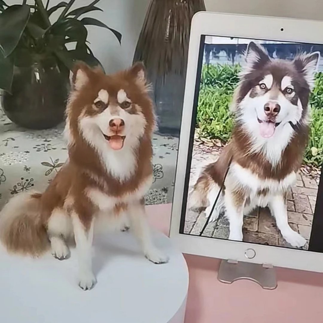 定制 逼真犬 毛孩 宠物 羊毛毡 娃娃 似颜绘 纪念 狗狗 礼物 h8 - 玩具 - 羊毛 多色