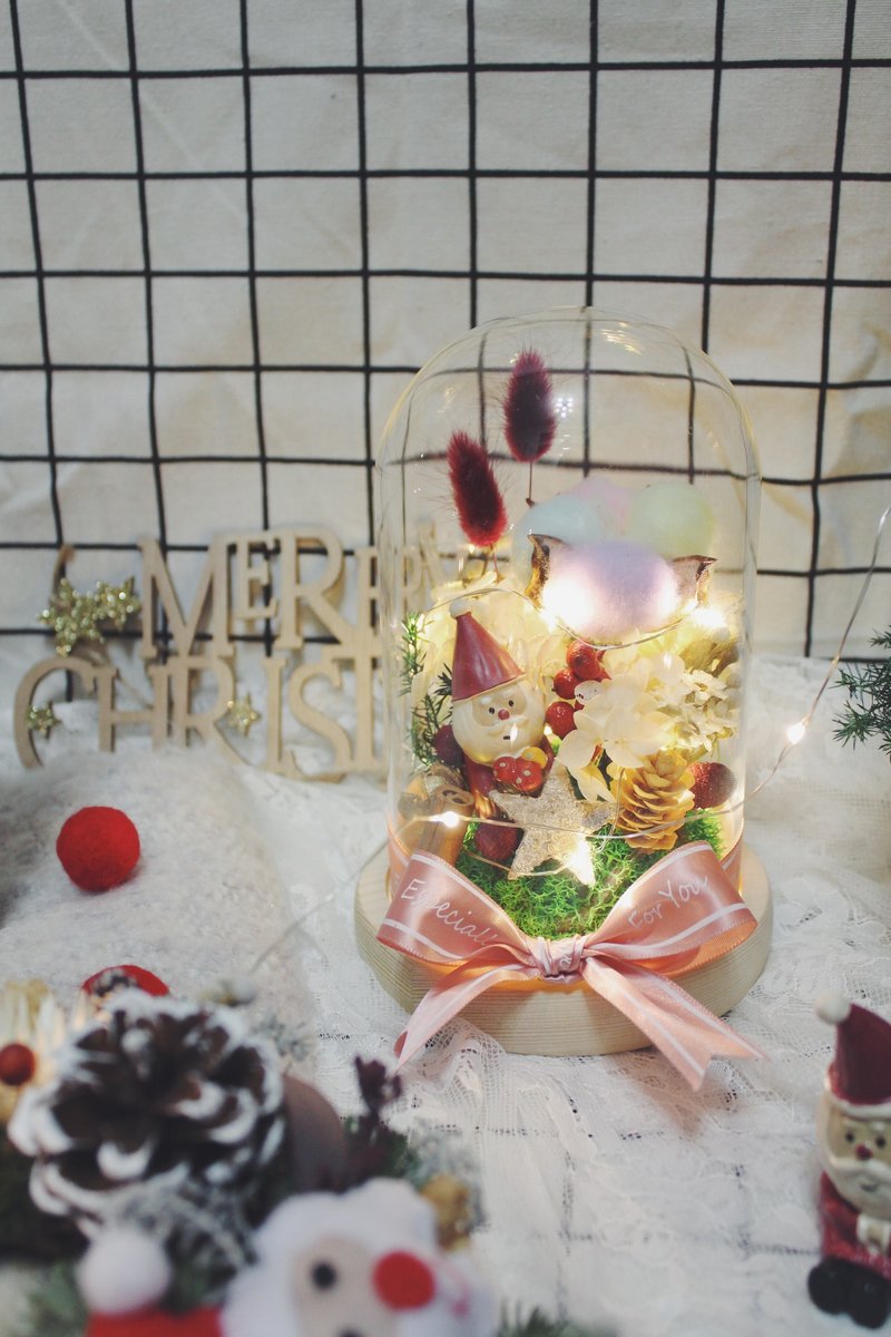 *现货*可24小时出货/彩虹棉花/圣诞老人/灯串玻璃罩 - 干燥花/捧花 - 植物．花 