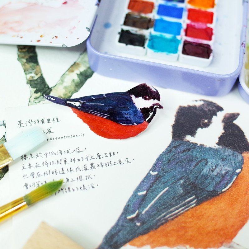 台湾特有种 赤腹山雀 绘画别针 胸针 - 胸针 - 防水材质 多色