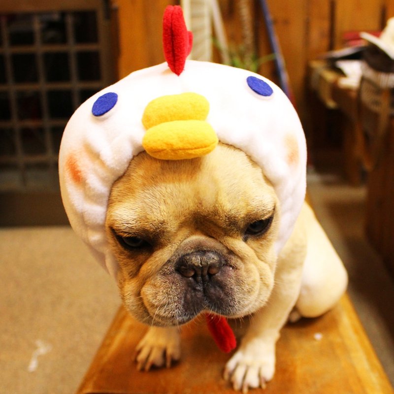 Zodiac Rooster Dog Zura - 衣/帽 - 羊毛 白色