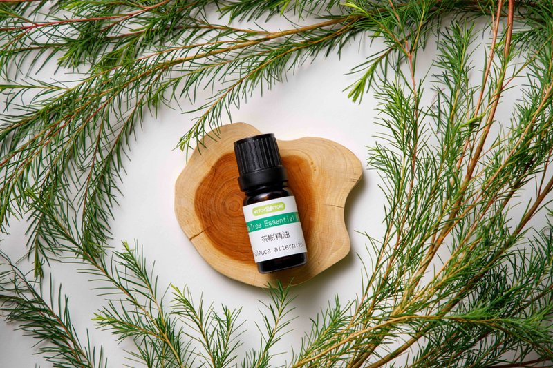 【魔女自产精油】茶树 - 香薰/精油/线香 - 精油 