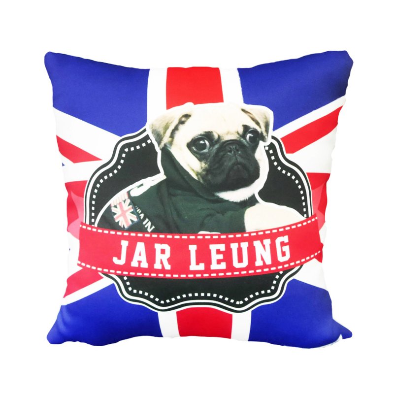 【 :toPET定制化】抱枕连枕芯 - 枕头/抱枕 - 其他材质 多色