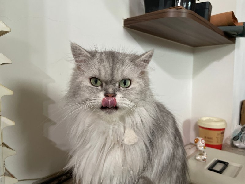 皮革悠游卡套套套  定制图腾喷印 版本 - 吊饰 - 真皮 