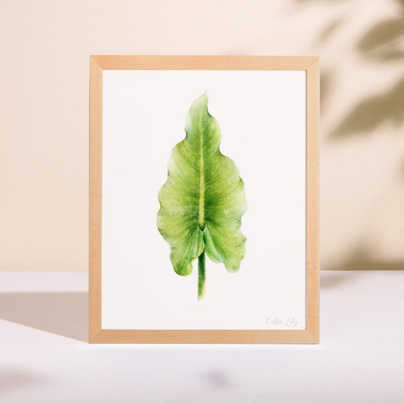 植物的静默 卧房餐厅挂画 植物水彩复制画 清新治愈绿色装饰画 - 海报/装饰画/版画 - 纸 多色