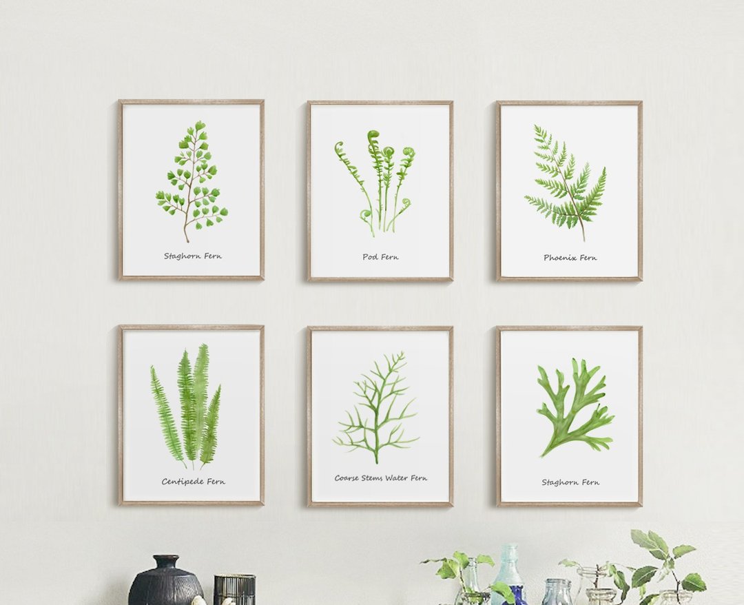 植物-空间布置-居家情景挂画-花草生活-走廊掛画-绿色疗愈 - 海报/装饰画/版画 - 纸 
