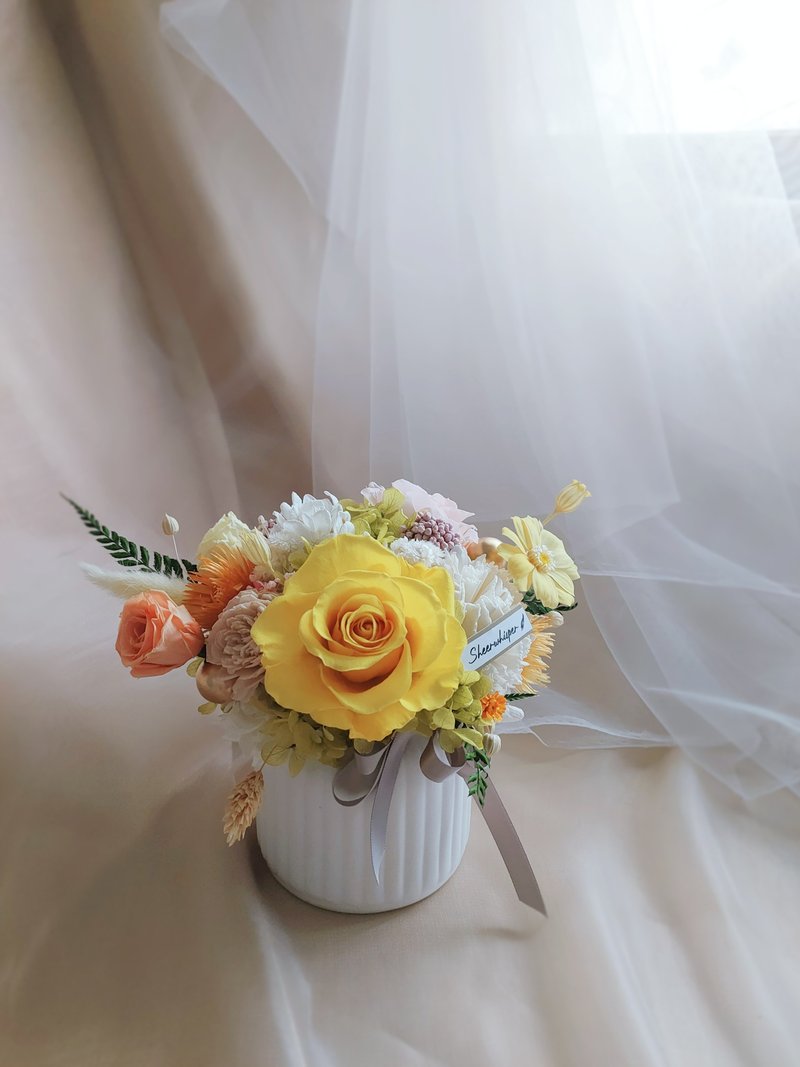 Sheer Whisper絮语藏花_阳光倾城 开幕 乔迁 永生扩香桌花盆花 - 干燥花/捧花 - 植物．花 蓝色