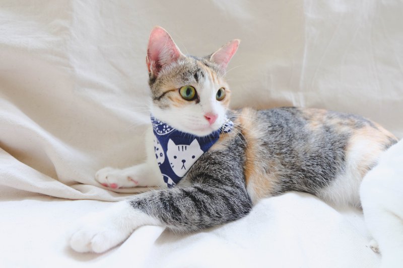 A-NI collar for cats and dogs triangular flag version - 项圈/牵绳 - 其他材质 蓝色
