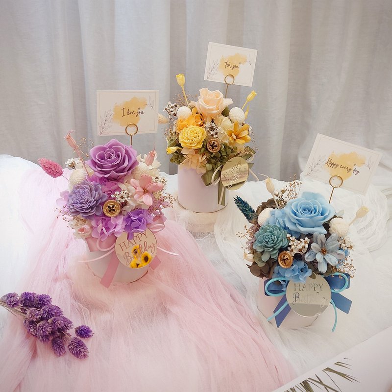 诗的意义生日款盆花 不凋花 永生花 礼物 生日礼物 装饰 玫瑰花 - 干燥花/捧花 - 植物．花 紫色