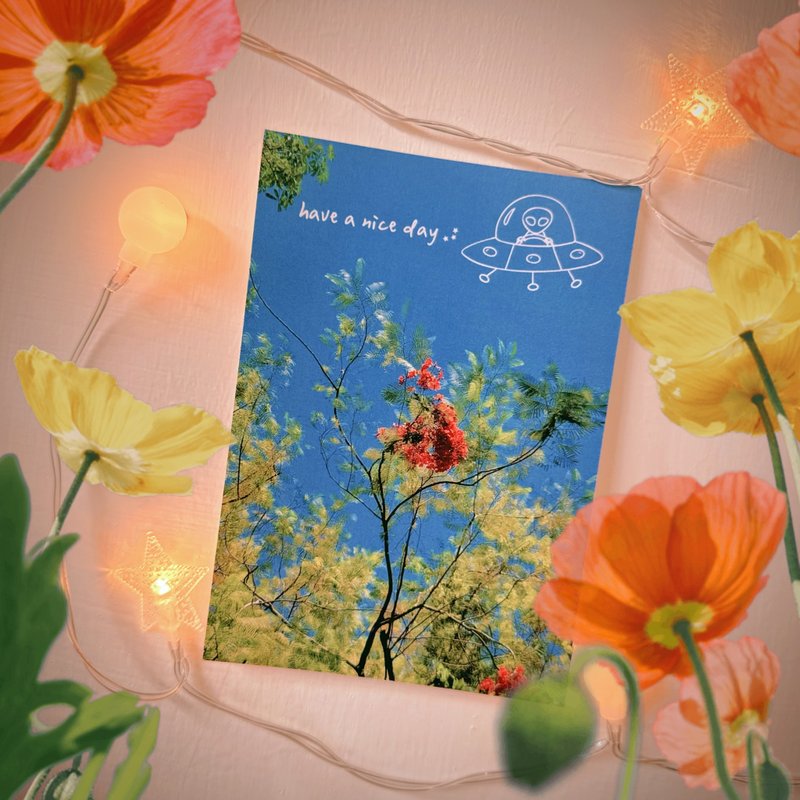 have a nice day 外星人游台湾明信片/酷卡/归绥公园凤凰木 - 卡片/明信片 - 纸 多色