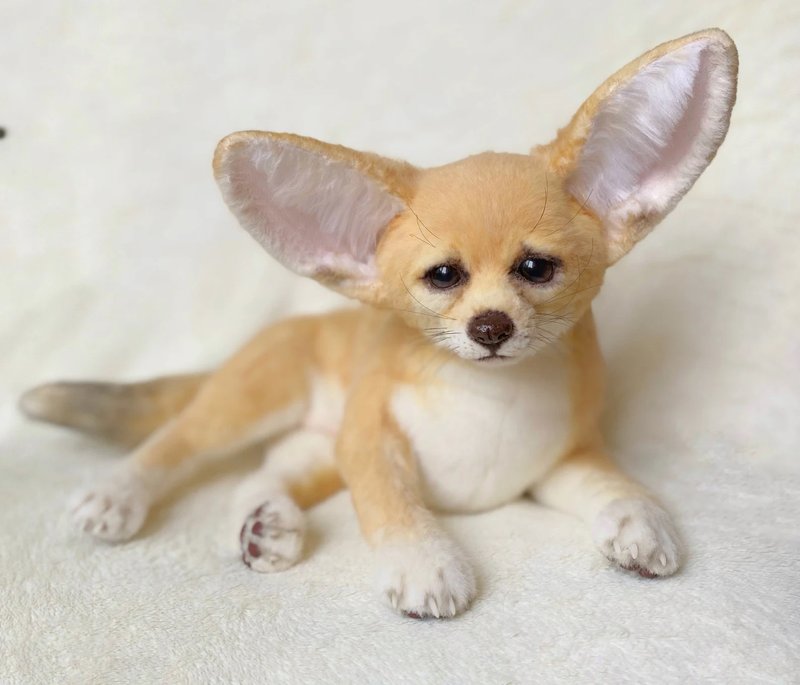 耳廓狐逼真的玩具毛绒动物 - 玩偶/公仔 - 聚酯纤维 金色