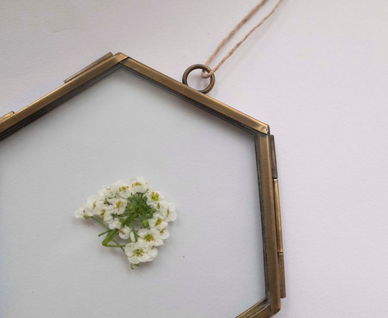 黄铜玻璃小画框 - 画框/相框 - 玻璃 透明
