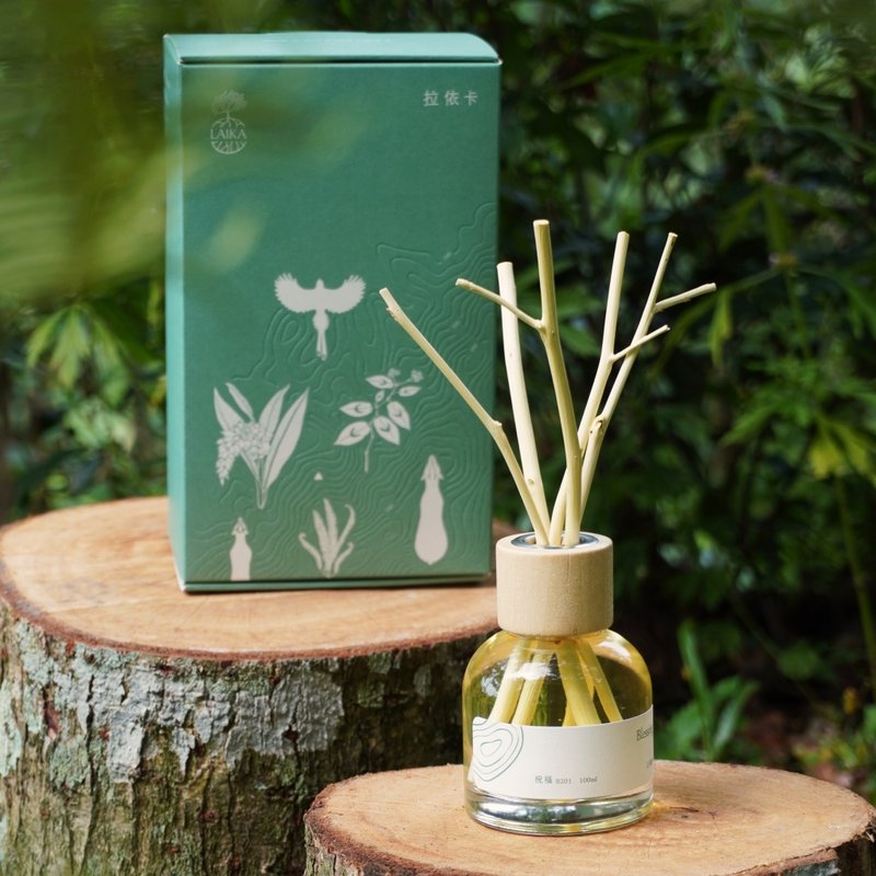 森林扩香礼盒 - 精油扩香与台湾扩香树枝 - 香薰/精油/线香 - 精油 绿色
